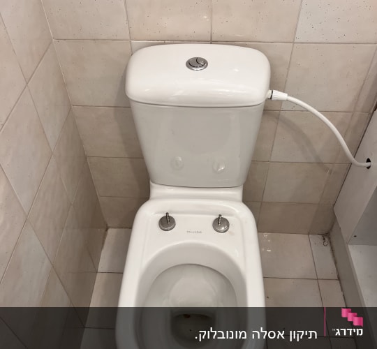 אסלה בחדר שירותים עם אריחי קרמיקה